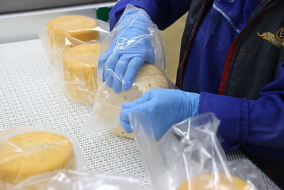 Модернизация производств, инвестиции, туризм. Ломский о точках роста Брестской области