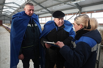 В тепле и с дополнительными порциями молока: как в Могилевской области содержат телят в морозы