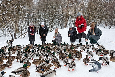 Акция \"Птичий патруль\": актив БСЖ подкармливает птиц