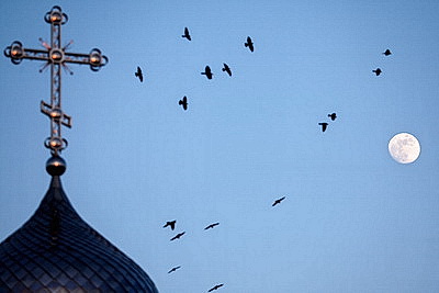 Первый весенний день