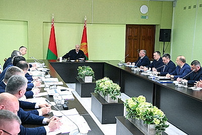 Развитие юго-востока Могилевской области стало темой совещания у Лукашенко