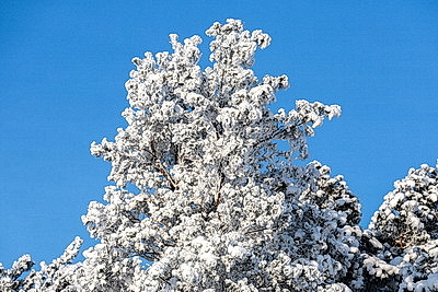 Зима в белорусской глубинке