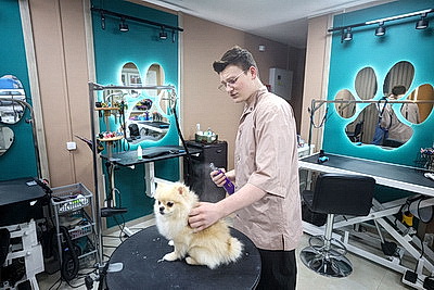 Школьник из Гродно нашел себя в груминге после первой стрижки своего йорка