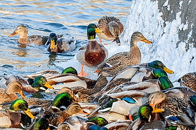 Зимний пейзаж