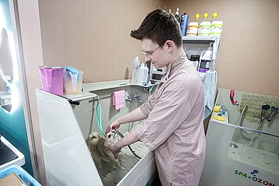 Школьник из Гродно нашел себя в груминге после первой стрижки своего йорка