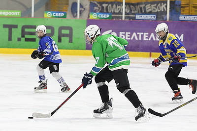 В Витебске завершился областной турнир по хоккею \"Золотая шайба\"