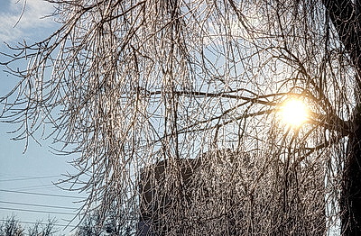 ФОТОХРОНИКА начинает новый информационный день