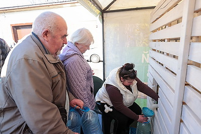 Витаминный напиток с лесной делянки. В Минском лесхозе началась реализация березового сока