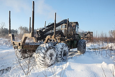 При разработке труднодоступных лесосек планируют заготовить около 600 тыс. куб.м древесины