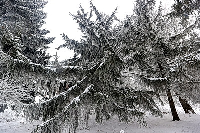 ФОТОХРОНИКА начинает новый информационный день