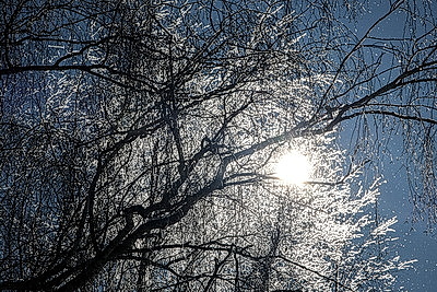 ФОТОХРОНИКА начинает новый информационный день