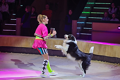 Мотокаскадеры, силачи, дрессированные медведи. В Белгосцирке новая программа \"Магия экстрима\"