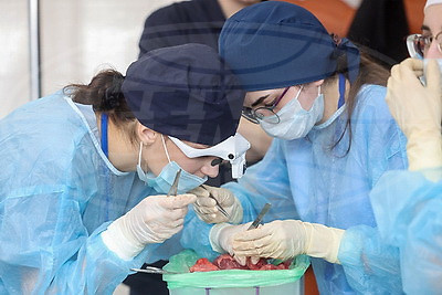 Международная студенческая олимпиада по хирургии собрала в ГрГМУ 11 команд из Беларуси, России, Кыргызстана и Узбекистана