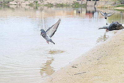 Яркие краски брестских улиц