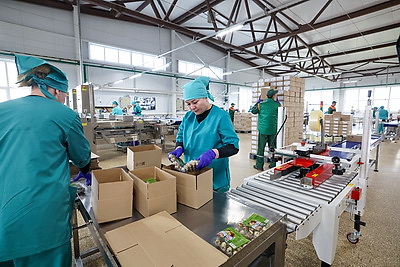 Турчин посетил Солигорскую птицефабрику