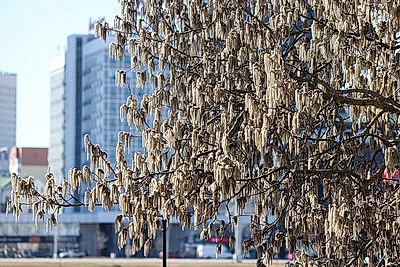 Солнечный весенний день в Минске