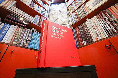 \"Кожная пятнiца - роднае, сваё\". Читаем белорусских классиков и вдохновляемся наследием