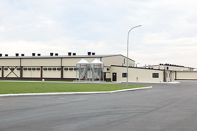 Турчин посетил Солигорскую птицефабрику