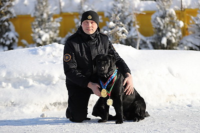 Глухая чаща и бетонные завалы: секреты службы белорусского лабрадора Дарка - претендента на \"Лохматый Оскар\"