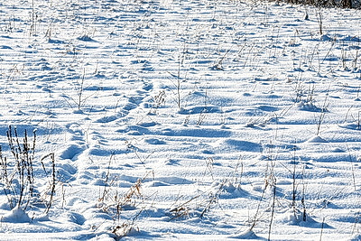 Зима в белорусской глубинке