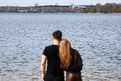 Весна. Белоснежные лебеди на водохранилище Дрозды