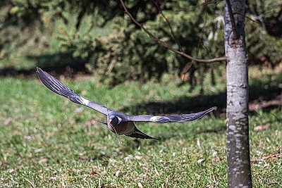 Солнечный весенний день в Минске