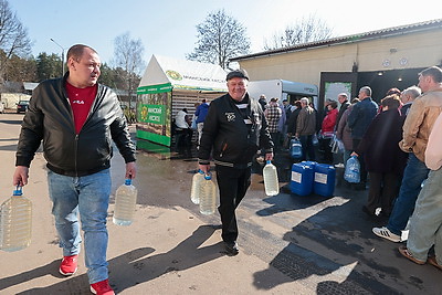 Витаминный напиток с лесной делянки. В Минском лесхозе началась реализация березового сока