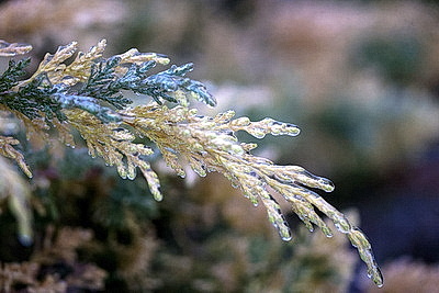 Стеклянный дождь в Гродно