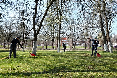 Республиканский субботник: команда БЕЛТА помогла навести порядок в социальном пансионате \"Малиновка\"