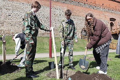 \"БлогБай. Маёвка\". Слет блогеров проходит в Лидском районе