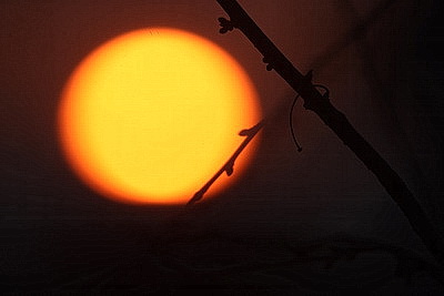 ФОТОХРОНИКА начинает новый информационный день