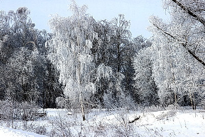 Ночью до -25..-30°С ожидается в Беларуси 15 января