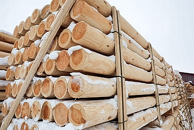 Кличевский лесхоз наладил безотходный цикл производства