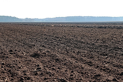 Как спутниковая навигация повышает шансы на богатый урожай уже в посевную