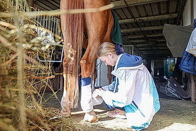 Олимпийские дни молодежи по выездке стартовали в Гомеле