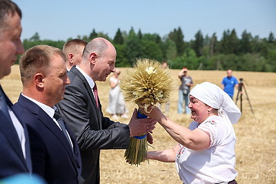 В Минской области началась уборка зерновых