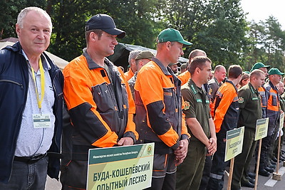Лучших лесорубов Гомельщины определили на областных соревнованиях
