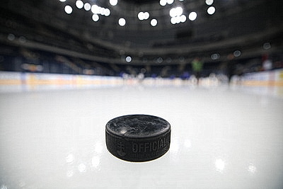 Лукашенко приехал на тренировку хоккеистов \"Динамо-Минск\"