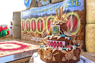 Минская область намолотила первый миллион тонн зерна и рапса