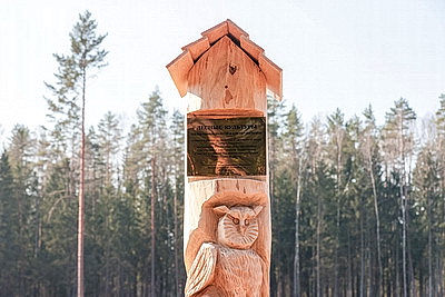 Члены Совета Республики приняли участие в акции \"Лес! Дабро! Парадак!\" в Столбцовском районе