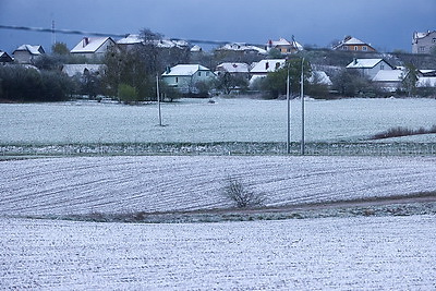 Мокрый снег выпал в Гродно