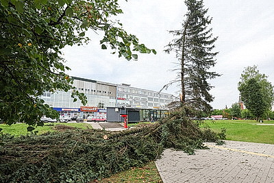 Снесенные крыши и оборванные провода. Минская область ликвидирует последствия удара стихии
