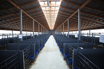 Лукашенко посетил МТК в Логойском районе