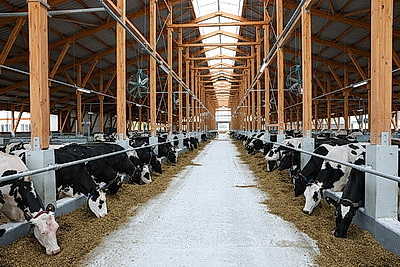 Лукашенко совершил рабочую поездку в Петриковский район