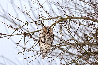 Зимний пейзаж в Докшицком районе