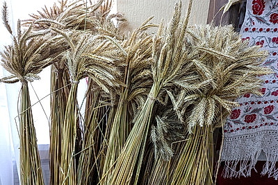 Золото полей в руках мастера: как в Кличевском доме ремесел древним техникам дарят второе дыхание