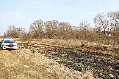 В Брестской области в марте произошло более 120 загораний травы и кустарников