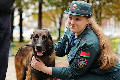 Единый день безопасности проходит в Беларуси