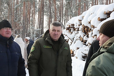 При разработке труднодоступных лесосек планируют заготовить около 600 тыс. куб.м древесины