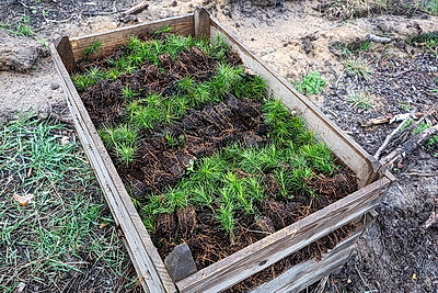 Республиканский субботник: коллектив Администрации Президента принял участие в благоустройстве мемориального комплекса и посадке леса